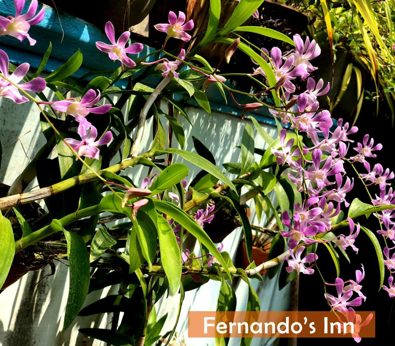 Fernando'S Inn Negombo Buitenkant foto
